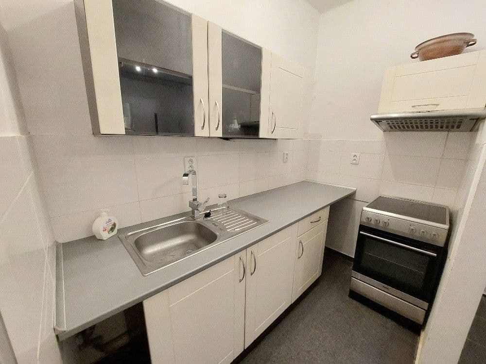 1 bedroom with open-plan kitchen flat for sale, 55 m², Jana Želivského, Prague, Prague 1 bedroom with open-plan kitchen flat for sale, 55 m², Jana Želivského, Prague, Prague