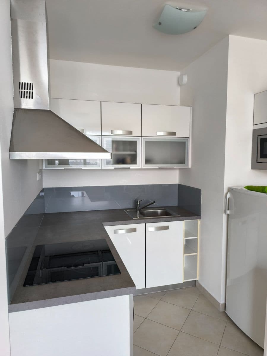 1 bedroom with open-plan kitchen flat to rent, 46 m², Milotická, Prague, Prague 1 bedroom with open-plan kitchen flat to rent, 46 m², Milotická, Prague, Prague