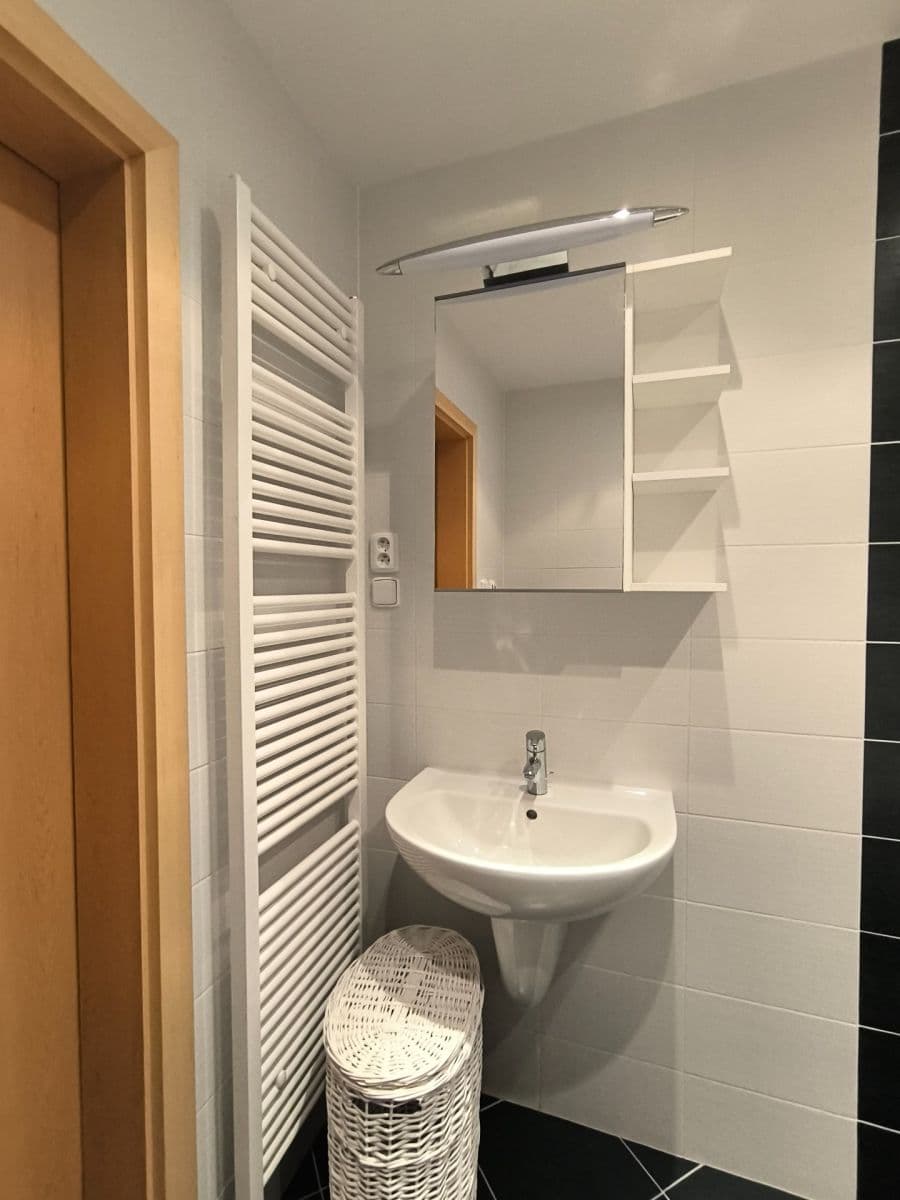 1 bedroom with open-plan kitchen flat to rent, 46 m², Milotická, Prague, Prague 1 bedroom with open-plan kitchen flat to rent, 46 m², Milotická, Prague, Prague