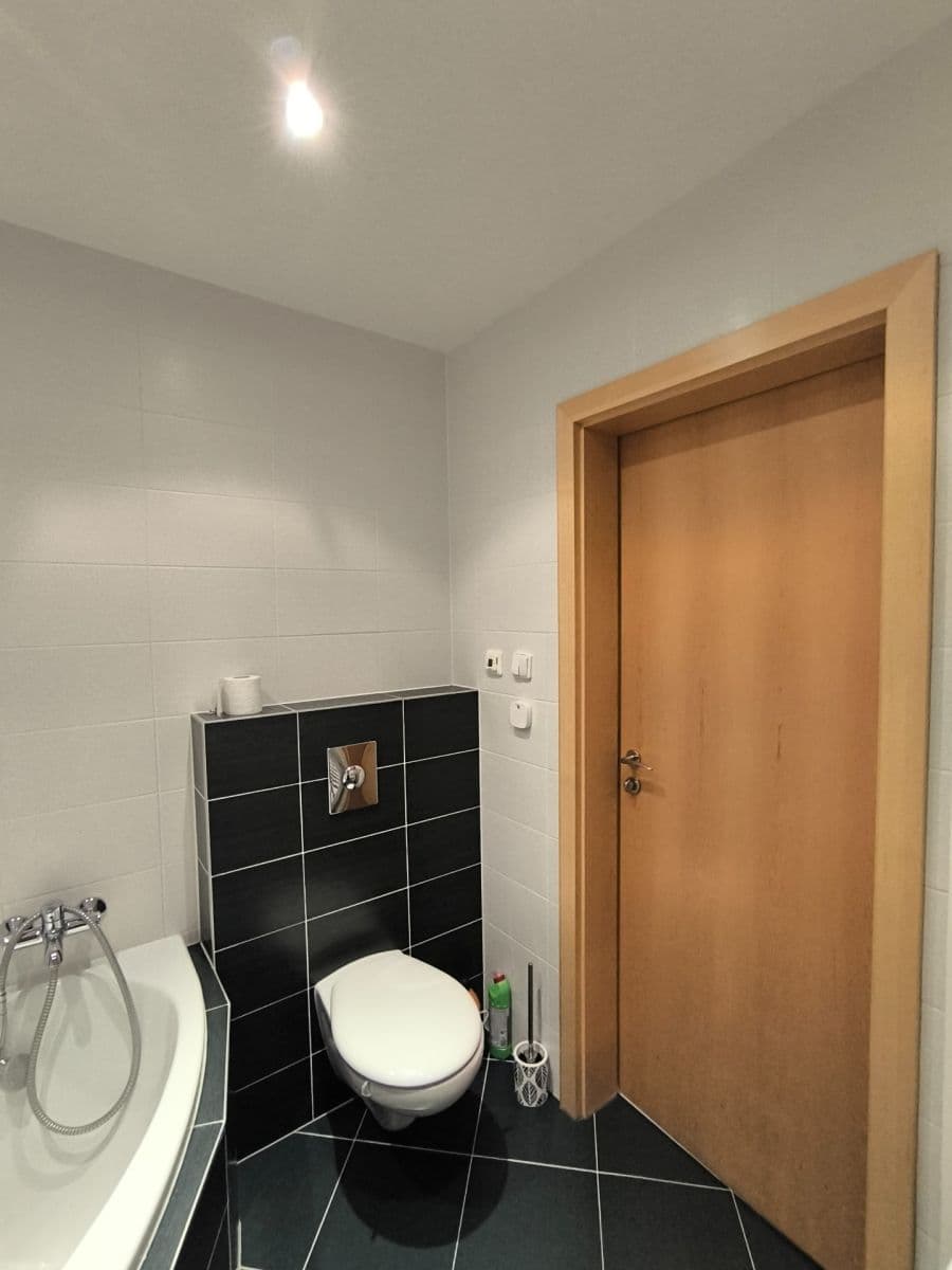 1 bedroom with open-plan kitchen flat to rent, 46 m², Milotická, Prague, Prague 1 bedroom with open-plan kitchen flat to rent, 46 m², Milotická, Prague, Prague