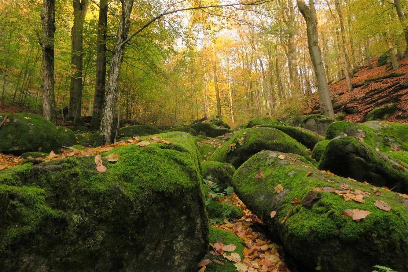 6 bedroom with open-plan kitchen flat to rent, 200 m², Tyršova, Jílové u Prahy, Středočeský Region 6 bedroom with open-plan kitchen flat to rent, 200 m², Tyršova, Jílové u Prahy, Středočeský Region