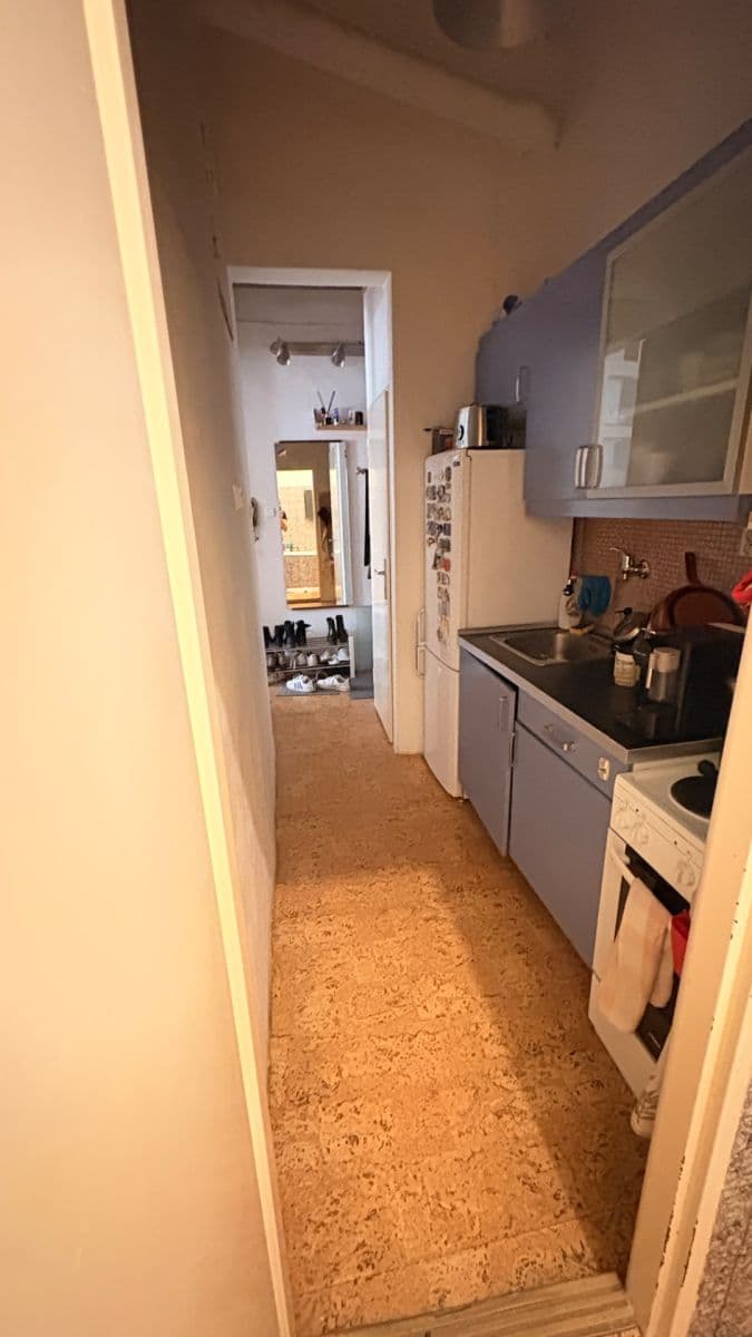 1 bedroom with open-plan kitchen flat to rent, 50 m², Ve Smečkách, Prague, Prague 1 bedroom with open-plan kitchen flat to rent, 50 m², Ve Smečkách, Prague, Prague