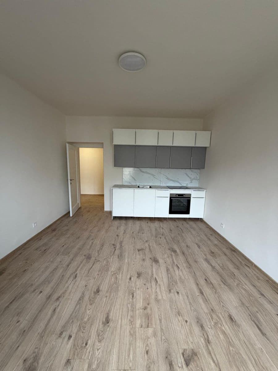 1 bedroom with open-plan kitchen flat to rent, 56 m², 28. pluku, Prague, Prague 1 bedroom with open-plan kitchen flat to rent, 56 m², 28. pluku, Prague, Prague