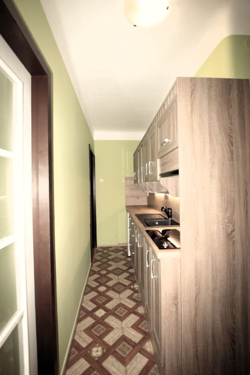 1 bedroom with open-plan kitchen flat to rent, 47 m², Převoznická, Prague, Prague 1 bedroom with open-plan kitchen flat to rent, 47 m², Převoznická, Prague, Prague