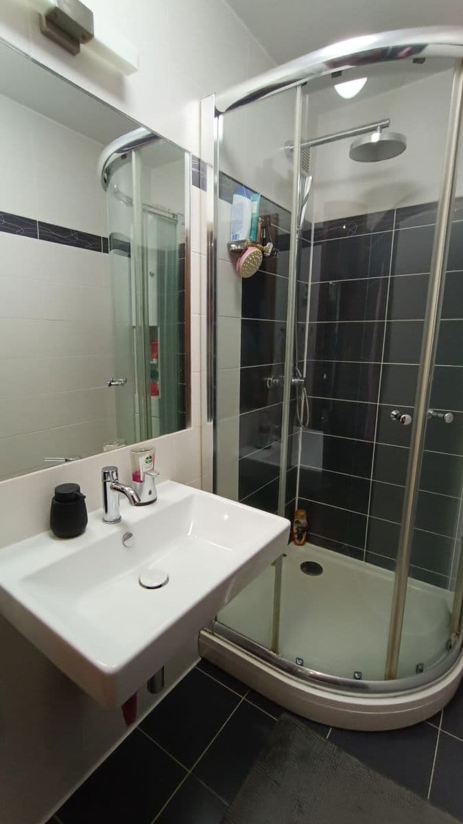 1 bedroom with open-plan kitchen flat to rent, 44 m², Dědinova, Prague, Prague 1 bedroom with open-plan kitchen flat to rent, 44 m², Dědinova, Prague, Prague