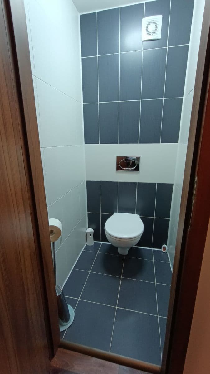 1 bedroom with open-plan kitchen flat to rent, 44 m², Dědinova, Prague, Prague 1 bedroom with open-plan kitchen flat to rent, 44 m², Dědinova, Prague, Prague