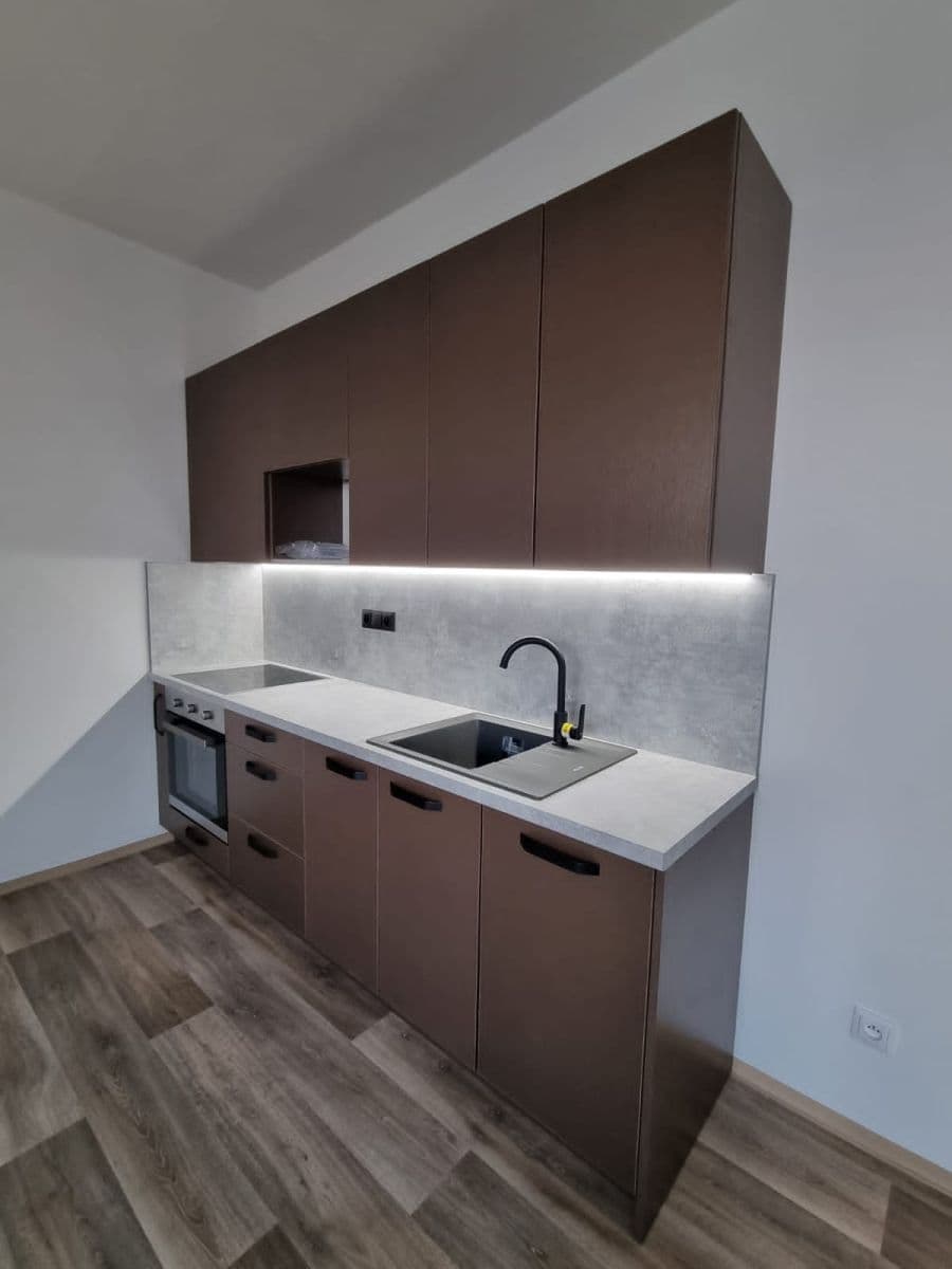1 bedroom with open-plan kitchen flat to rent, 49 m², Markova, Prague, Prague 1 bedroom with open-plan kitchen flat to rent, 49 m², Markova, Prague, Prague