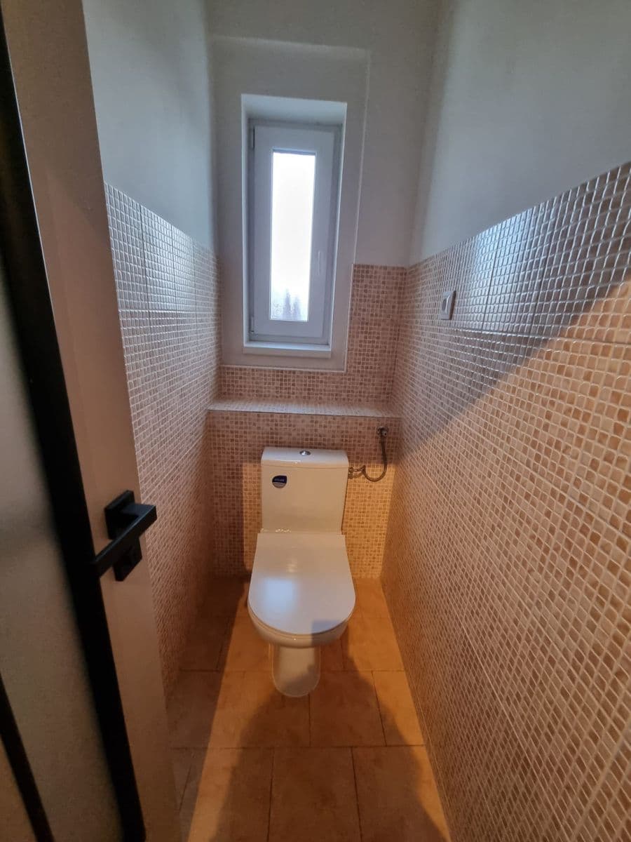 1 bedroom with open-plan kitchen flat to rent, 49 m², Markova, Prague, Prague 1 bedroom with open-plan kitchen flat to rent, 49 m², Markova, Prague, Prague