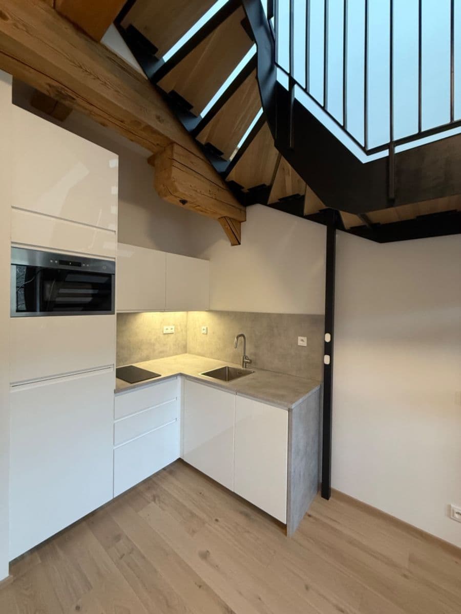 1 bedroom with open-plan kitchen flat to rent, 43 m², Závišova, Prague, Prague 1 bedroom with open-plan kitchen flat to rent, 43 m², Závišova, Prague, Prague