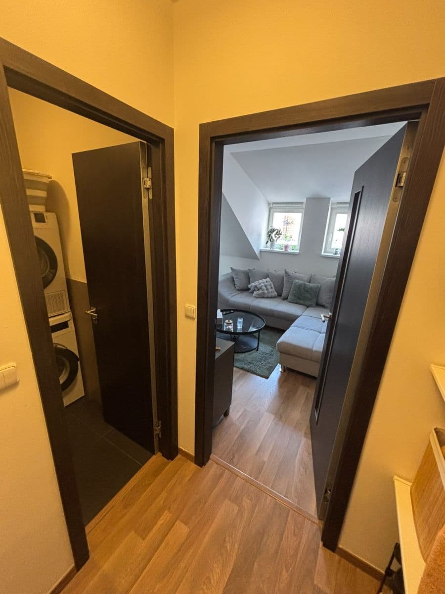 1 bedroom with open-plan kitchen flat to rent, 48 m², Slavojova, Prague, Prague 1 bedroom with open-plan kitchen flat to rent, 48 m², Slavojova, Prague, Prague