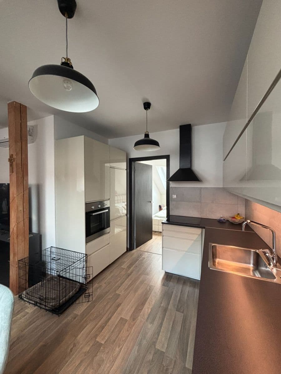 1 bedroom with open-plan kitchen flat to rent, 48 m², Slavojova, Prague, Prague 1 bedroom with open-plan kitchen flat to rent, 48 m², Slavojova, Prague, Prague