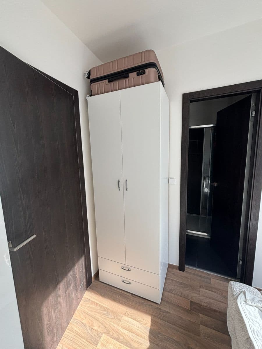 1 bedroom with open-plan kitchen flat to rent, 48 m², Slavojova, Prague, Prague 1 bedroom with open-plan kitchen flat to rent, 48 m², Slavojova, Prague, Prague