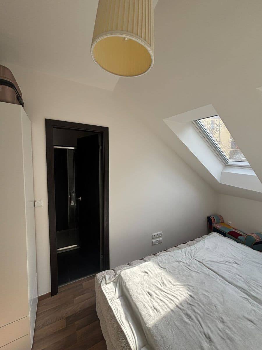 1 bedroom with open-plan kitchen flat to rent, 48 m², Slavojova, Prague, Prague 1 bedroom with open-plan kitchen flat to rent, 48 m², Slavojova, Prague, Prague