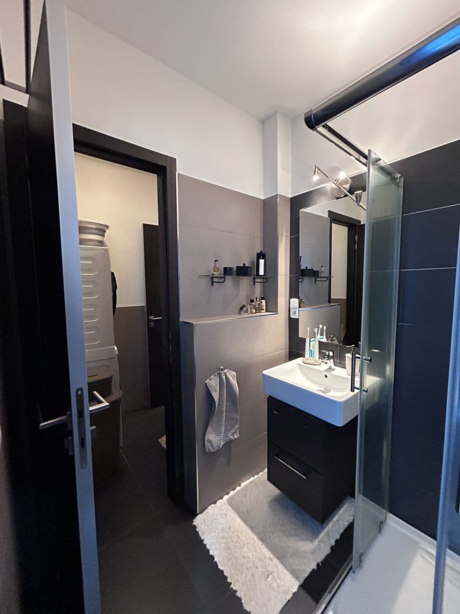 1 bedroom with open-plan kitchen flat to rent, 48 m², Slavojova, Prague, Prague 1 bedroom with open-plan kitchen flat to rent, 48 m², Slavojova, Prague, Prague