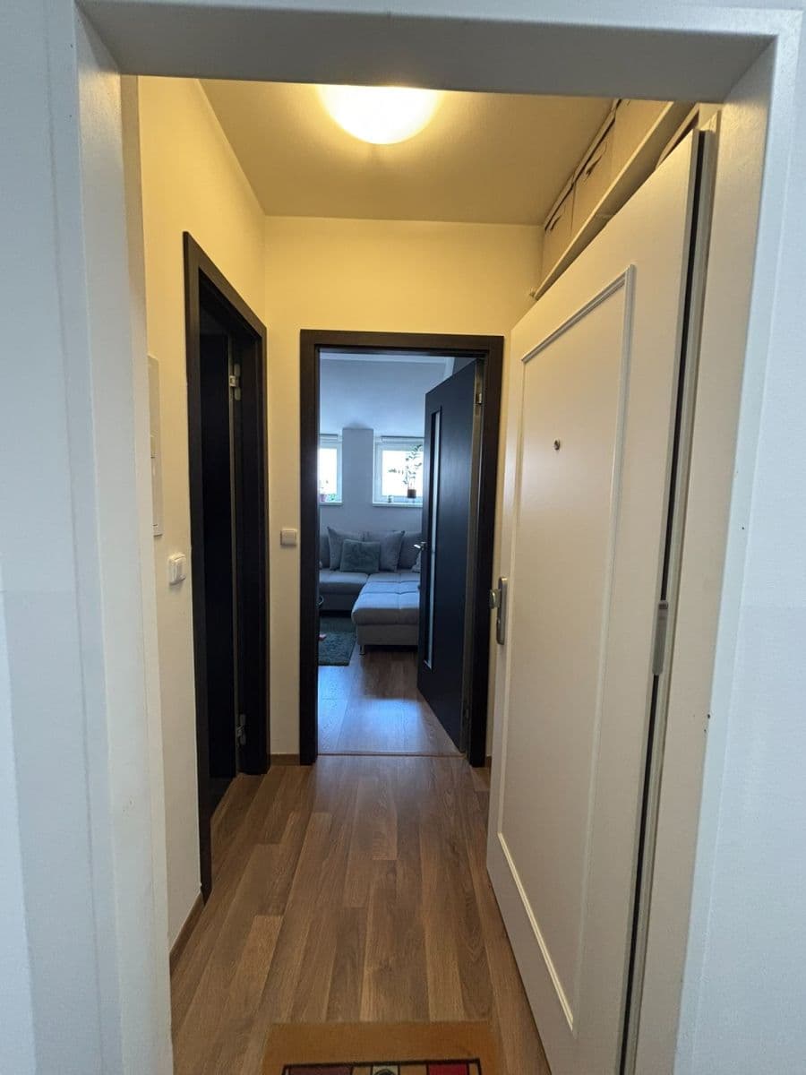 1 bedroom with open-plan kitchen flat to rent, 48 m², Slavojova, Prague, Prague 1 bedroom with open-plan kitchen flat to rent, 48 m², Slavojova, Prague, Prague