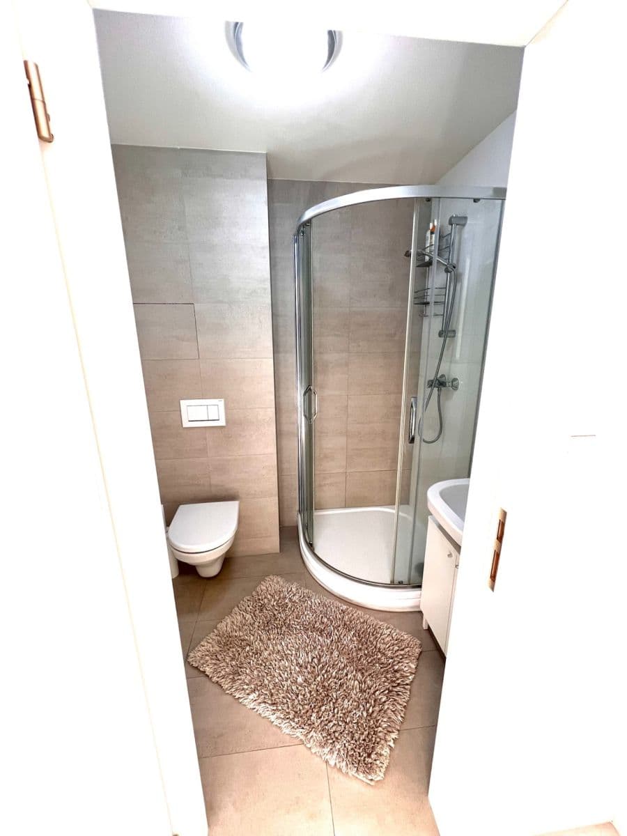 1 bedroom with open-plan kitchen flat to rent, 32 m², Na Obrátce, Prague, Prague 1 bedroom with open-plan kitchen flat to rent, 32 m², Na Obrátce, Prague, Prague