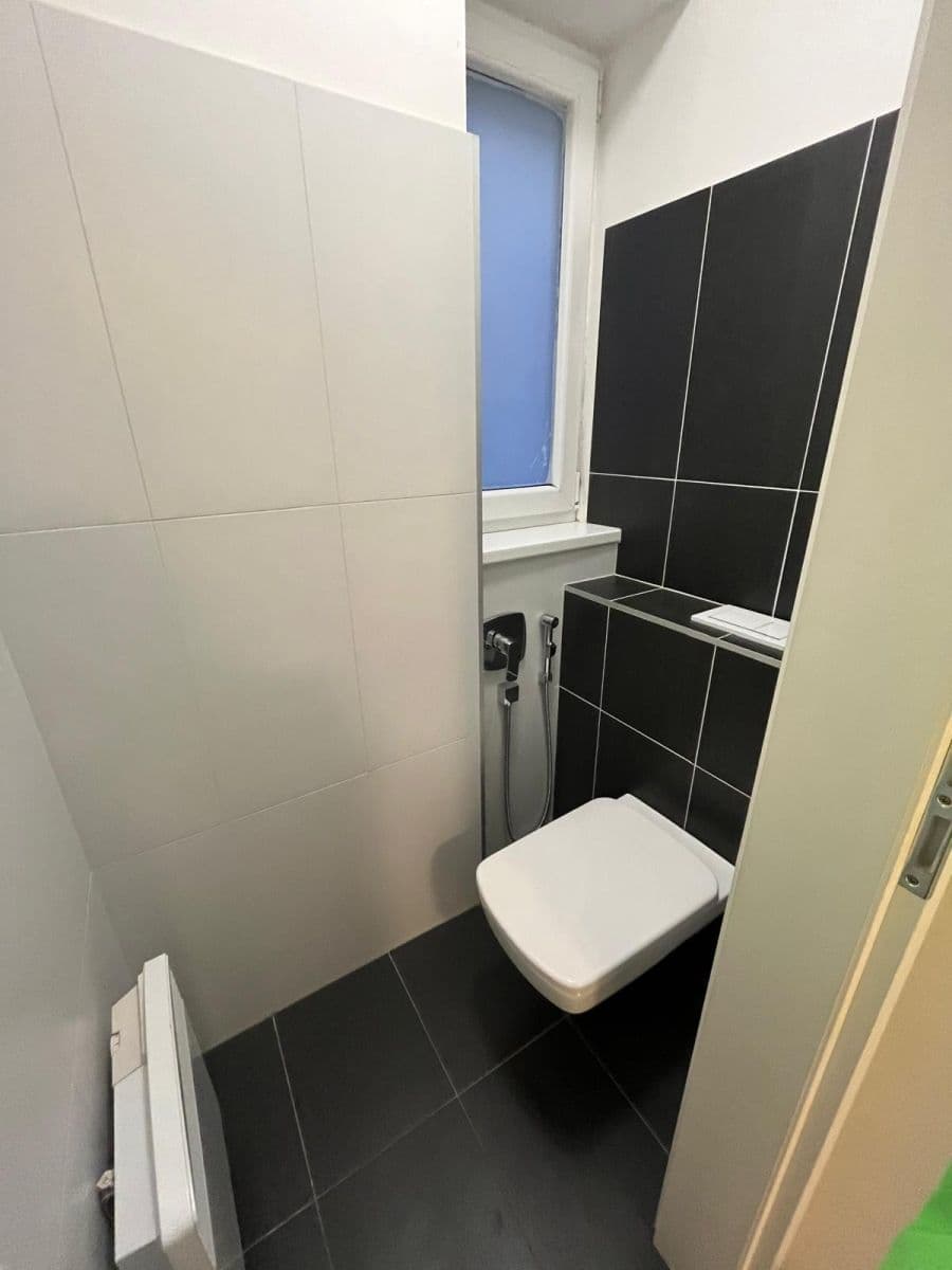 1 bedroom with open-plan kitchen flat to rent, 63 m², Na Viničkách, Prague, Prague 1 bedroom with open-plan kitchen flat to rent, 63 m², Na Viničkách, Prague, Prague