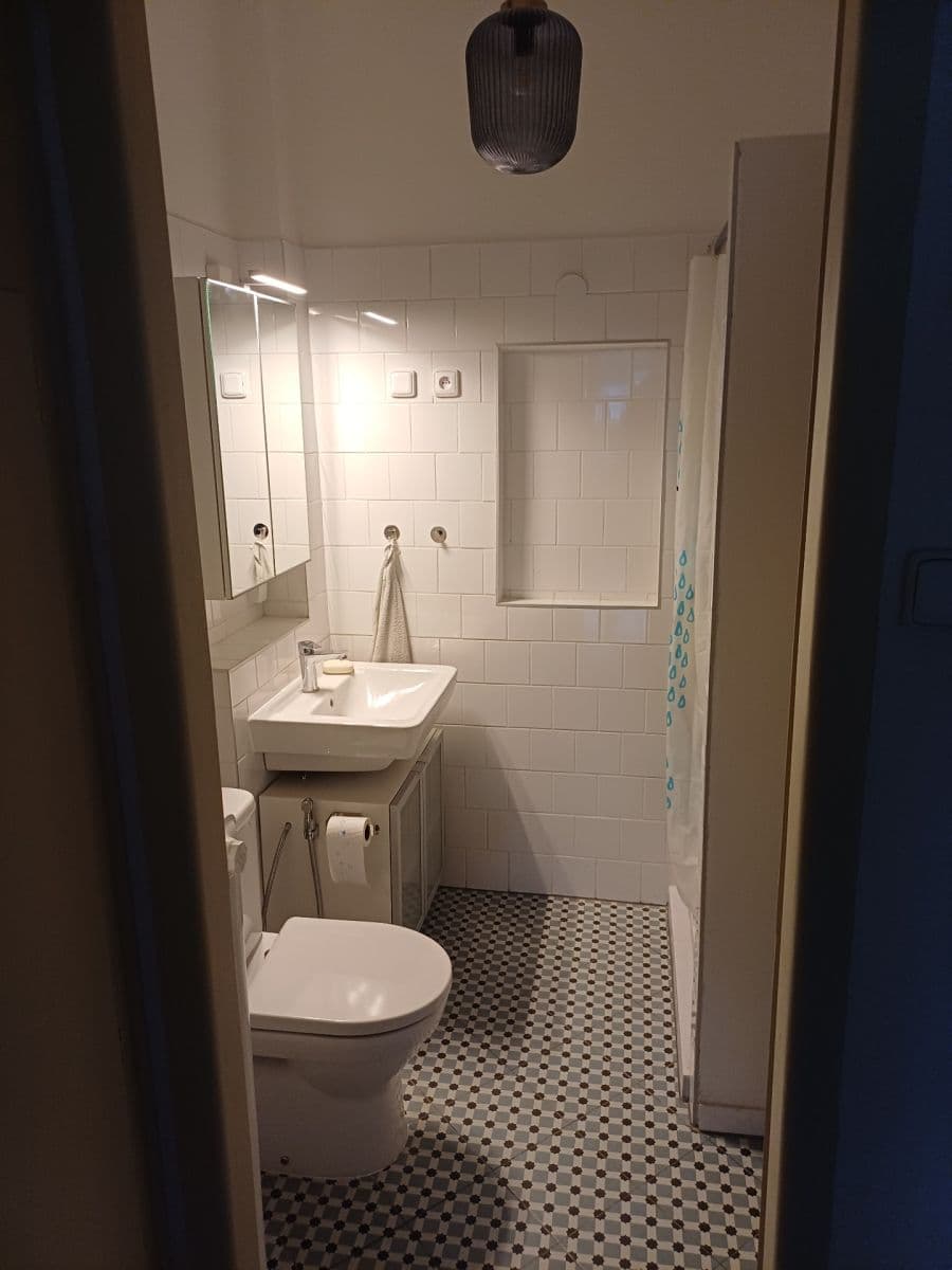 1 bedroom with open-plan kitchen flat to rent, 43 m², Milady Horákové, Prague, Prague 1 bedroom with open-plan kitchen flat to rent, 43 m², Milady Horákové, Prague, Prague