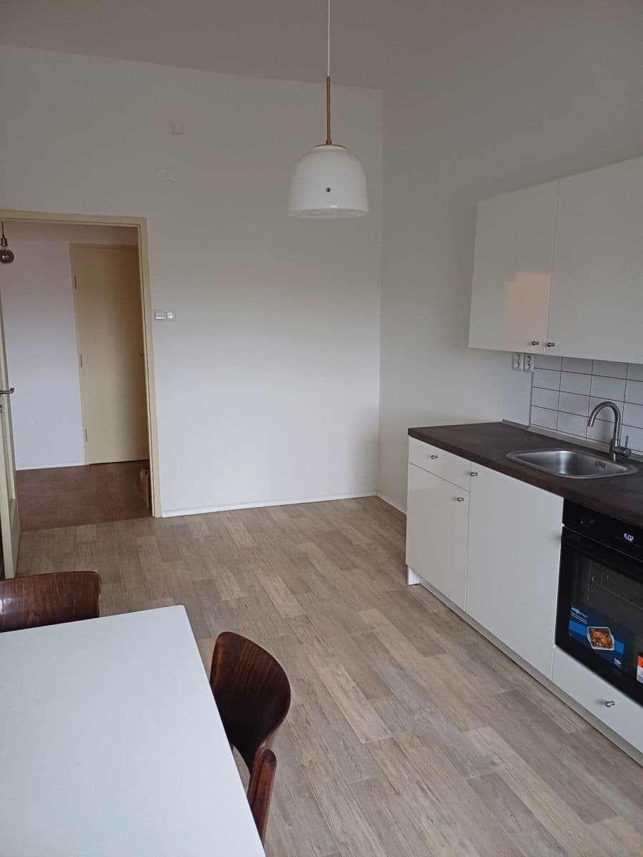 1 bedroom with open-plan kitchen flat to rent, 43 m², Milady Horákové, Prague, Prague 1 bedroom with open-plan kitchen flat to rent, 43 m², Milady Horákové, Prague, Prague