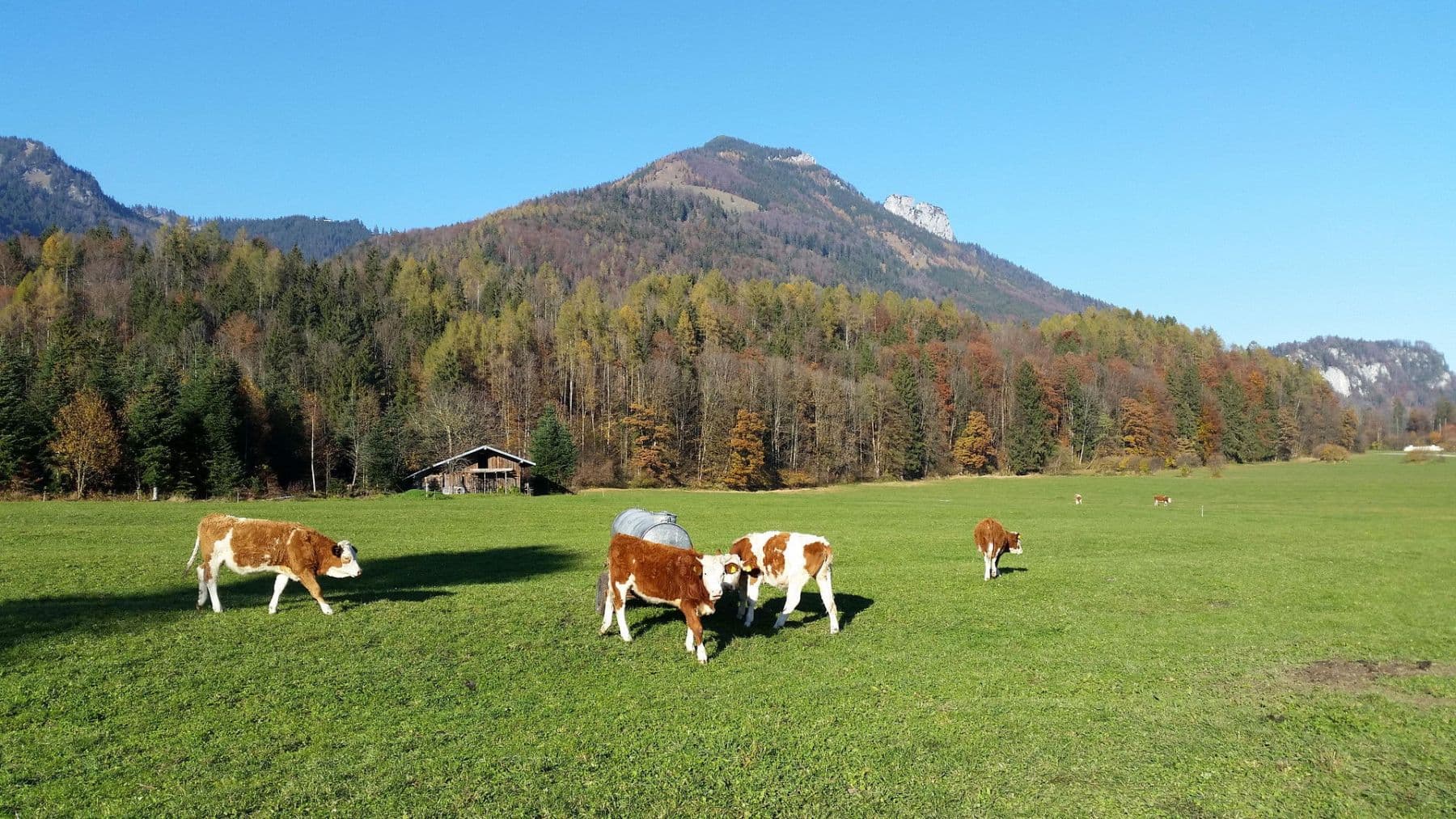 house for sale, 57 m², Schleching, Bavaria house for sale, 57 m², Schleching, Bavaria