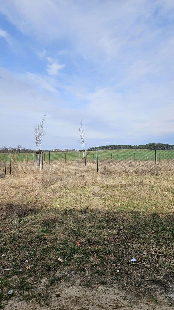 house to rent, 131 m², Zossen, Brandenburg house to rent, 131 m², Zossen, Brandenburg