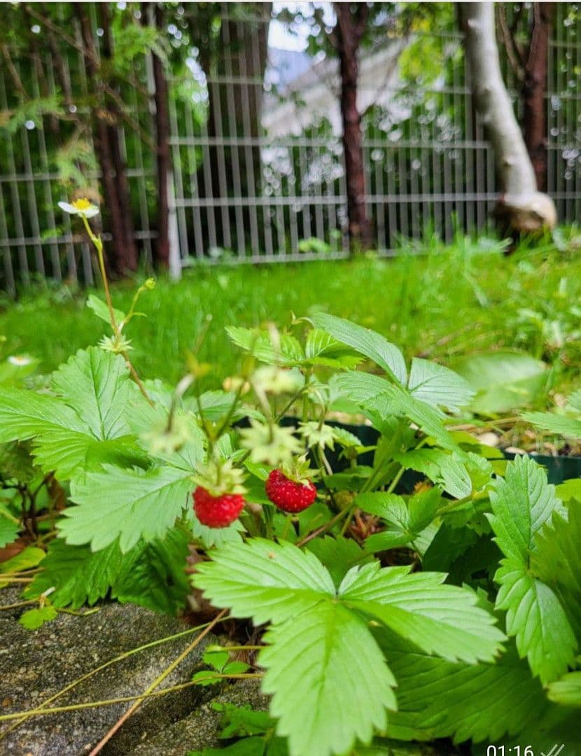 4 bedroom flat to rent, 90 m², München, Bavaria 4 bedroom flat to rent, 90 m², München, Bavaria