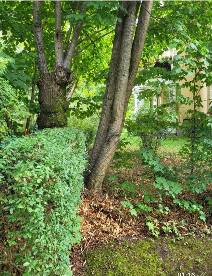 4 bedroom flat to rent, 90 m², München, Bavaria 4 bedroom flat to rent, 90 m², München, Bavaria