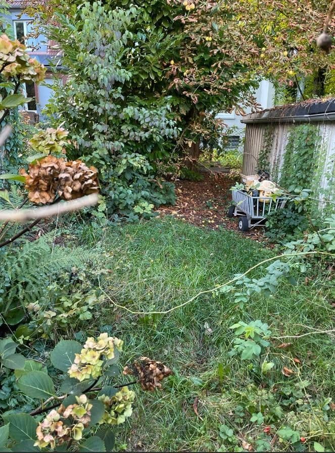 flat to rent, 17 m², An der Kaiseraue 11, Bochum, North Rhine-Westphalia flat to rent, 17 m², An der Kaiseraue 11, Bochum, North Rhine-Westphalia