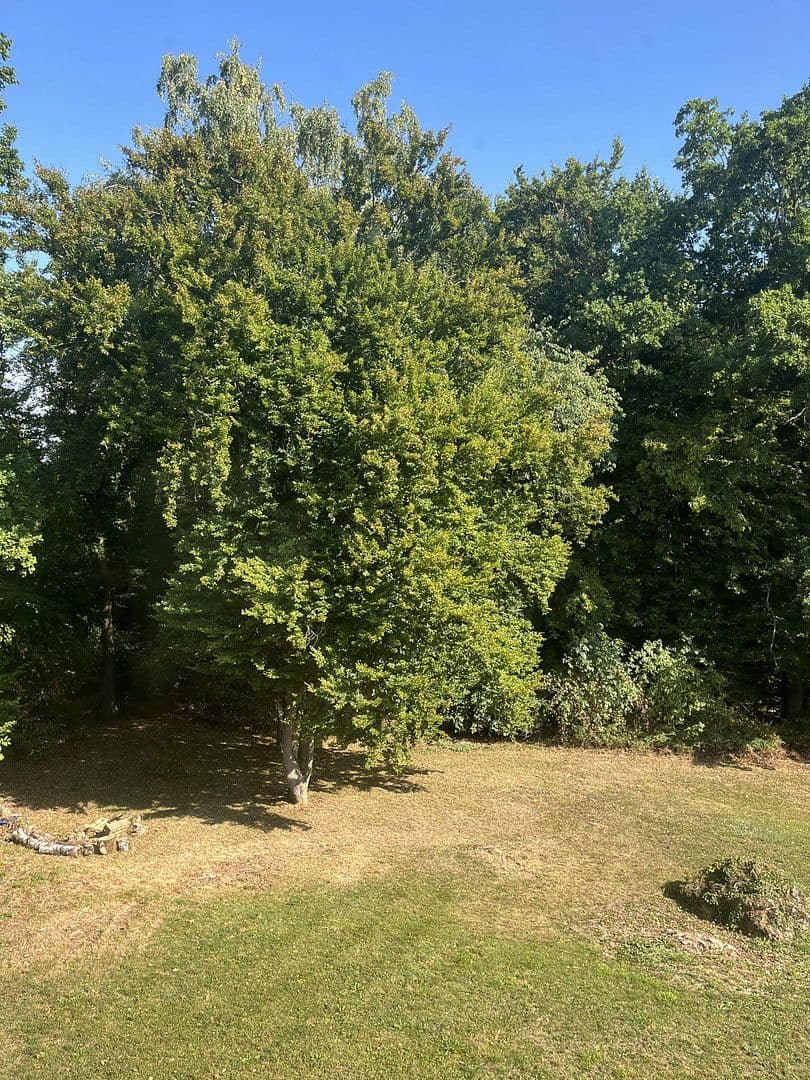 house for sale, 245 m², Nittendorf, Bavaria house for sale, 245 m², Nittendorf, Bavaria