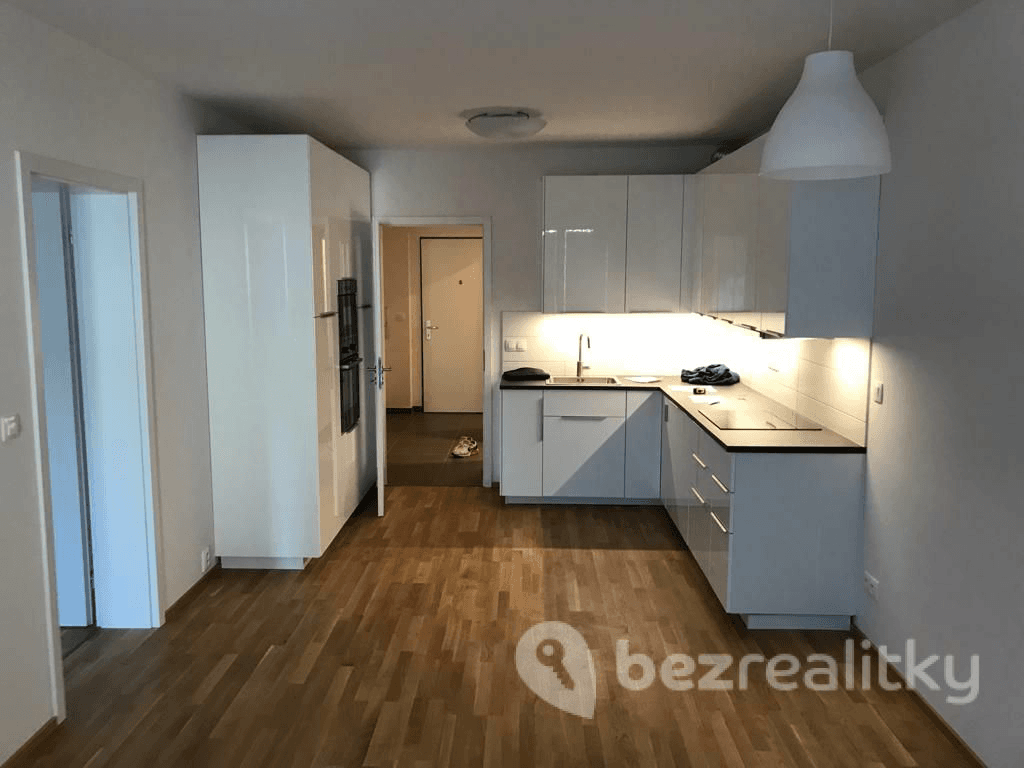 1 bedroom with open-plan kitchen flat to rent, 57 m², Hadovitá, Prague, Prague 1 bedroom with open-plan kitchen flat to rent, 57 m², Hadovitá, Prague, Prague