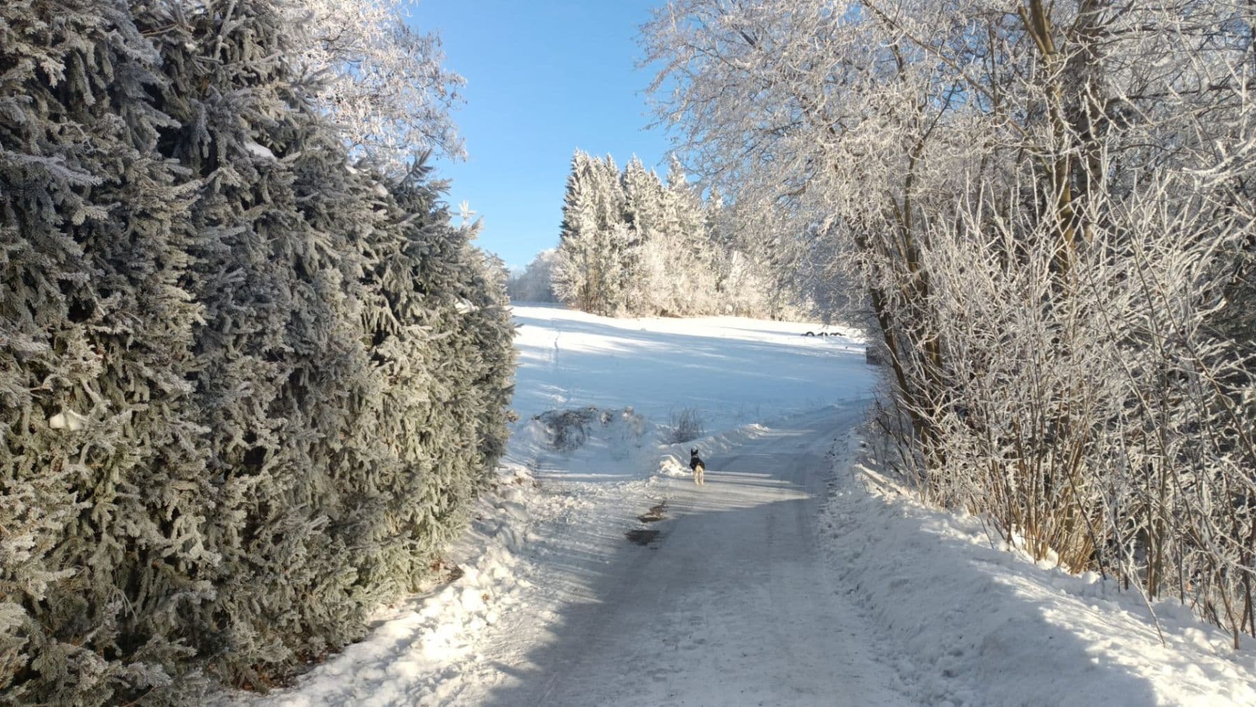 recreational property for sale, 800 m², Pěnčín, Liberecký Region recreational property for sale, 800 m², Pěnčín, Liberecký Region