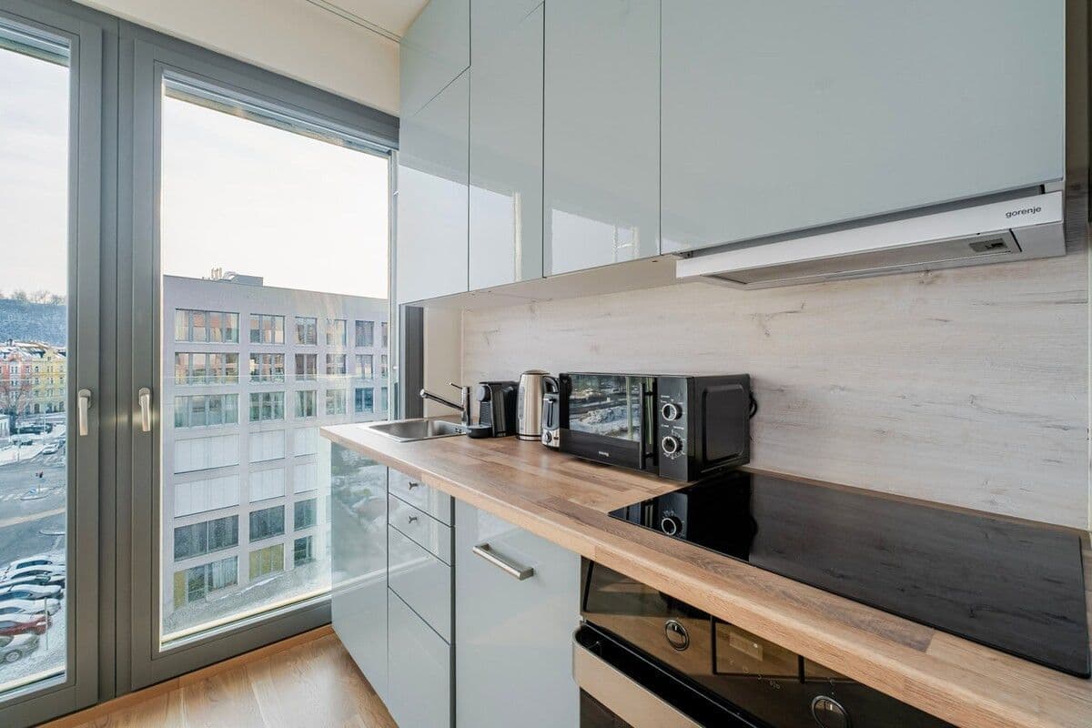 flat to rent, 46 m², Breitfeldova, Prague, Prague flat to rent, 46 m², Breitfeldova, Prague, Prague