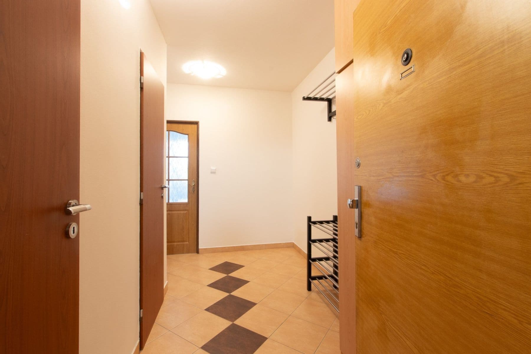 1 bedroom with open-plan kitchen flat to rent, 43 m², Modrá, Prague, Prague 1 bedroom with open-plan kitchen flat to rent, 43 m², Modrá, Prague, Prague