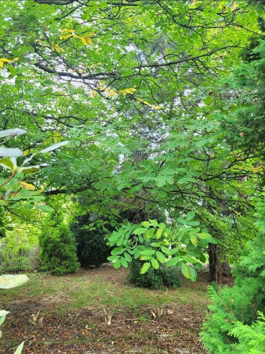 house for sale, 160 m², Do Polí, Dolní Lutyně, Moravskoslezský Region house for sale, 160 m², Do Polí, Dolní Lutyně, Moravskoslezský Region