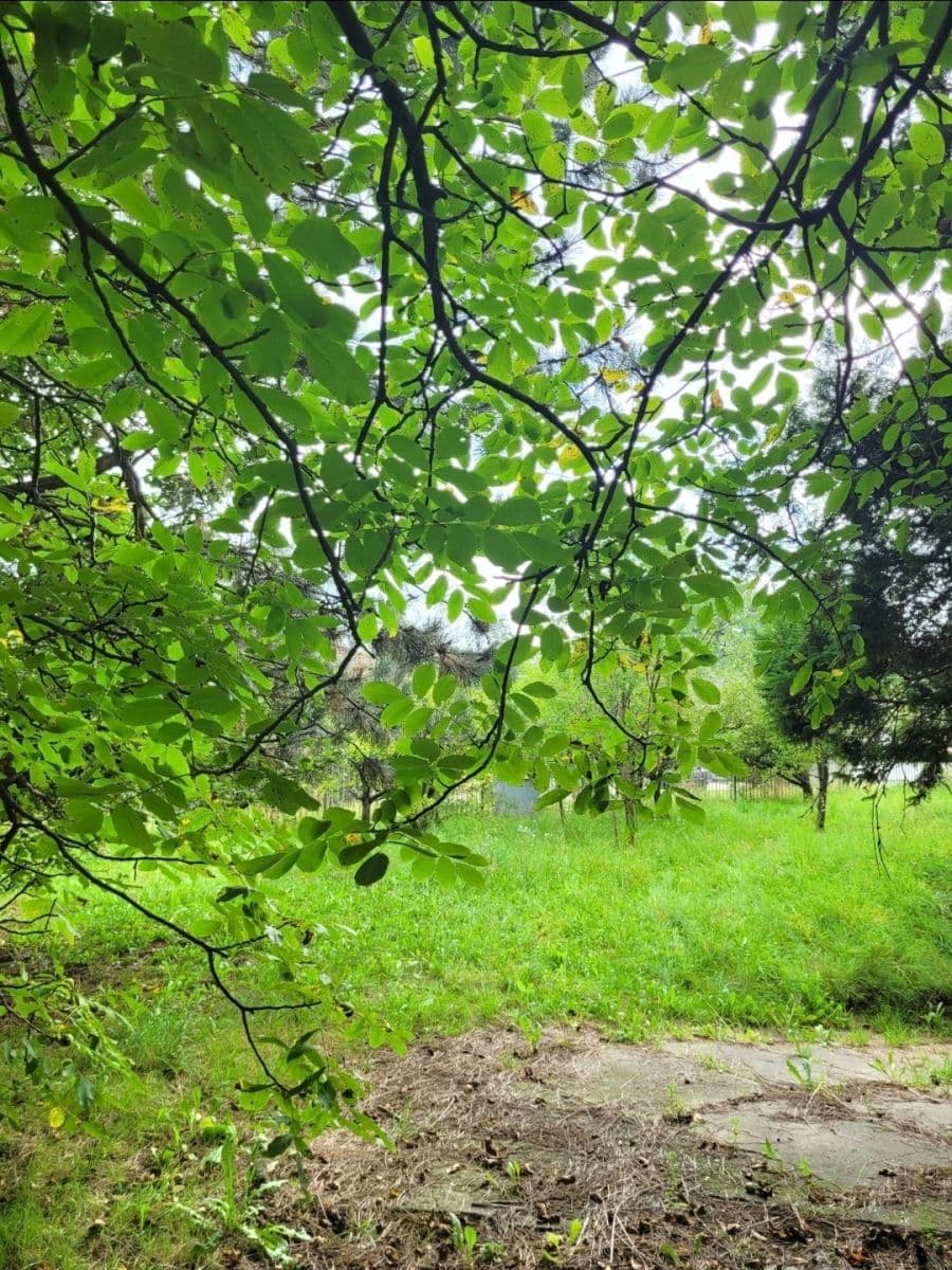 house for sale, 160 m², Do Polí, Dolní Lutyně, Moravskoslezský Region house for sale, 160 m², Do Polí, Dolní Lutyně, Moravskoslezský Region