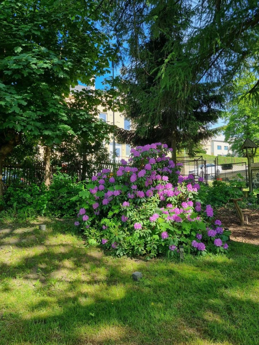 house for sale, 154 m², Osvobození, Kamenický Šenov, Liberecký Region house for sale, 154 m², Osvobození, Kamenický Šenov, Liberecký Region