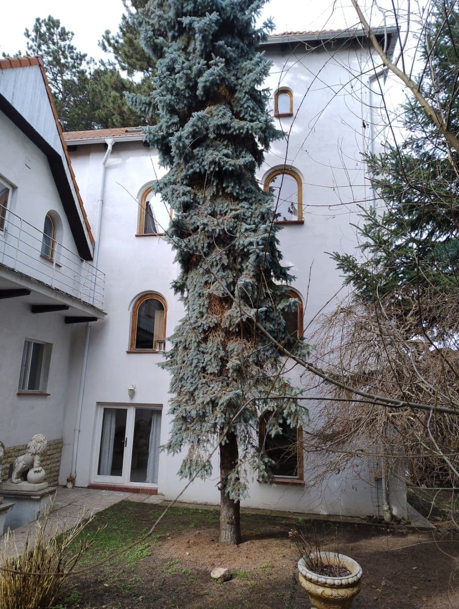 house for sale, 513 m², V Borovičkách, Prague, Prague house for sale, 513 m², V Borovičkách, Prague, Prague