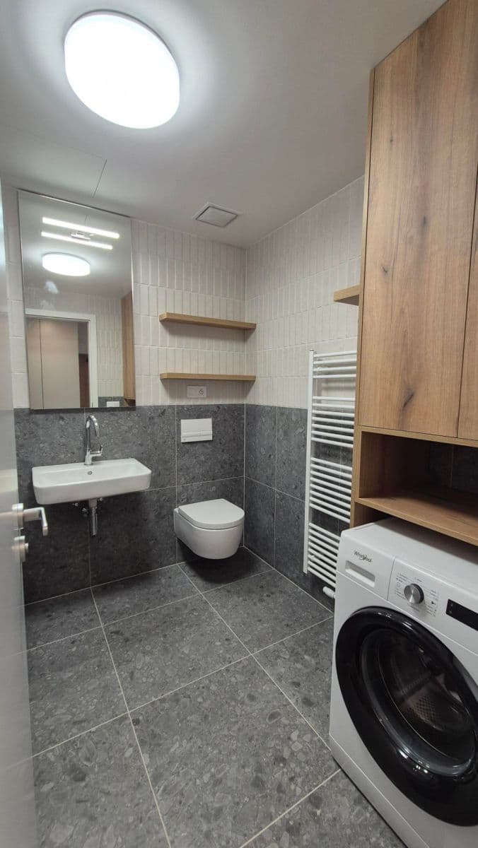 Studio flat to rent, 43 m², Bratislavská, Brno, Jihomoravský Region Studio flat to rent, 43 m², Bratislavská, Brno, Jihomoravský Region