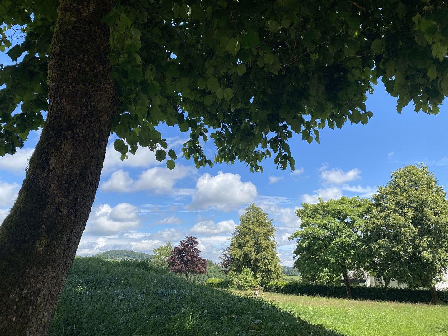 2 bedroom flat to rent, 57 m², Delleweg 21, Winterberg, North Rhine-Westphalia 2 bedroom flat to rent, 57 m², Delleweg 21, Winterberg, North Rhine-Westphalia