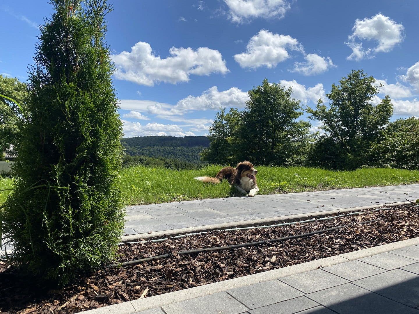 2 bedroom flat to rent, 57 m², Delleweg 21, Winterberg, North Rhine-Westphalia 2 bedroom flat to rent, 57 m², Delleweg 21, Winterberg, North Rhine-Westphalia