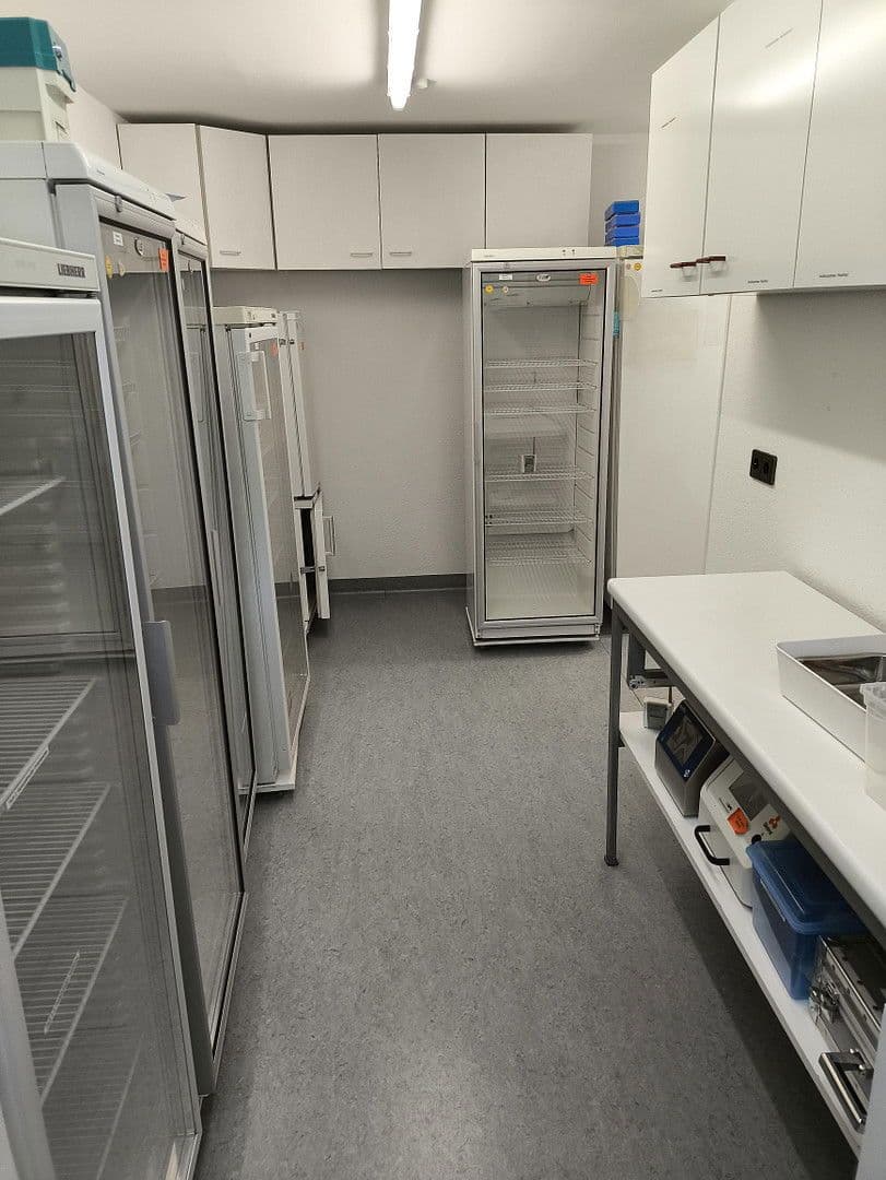 office to rent, 500 m², Londoner Ring 105, Ludwigshafen am Rhein, Rhineland-Palatinate office to rent, 500 m², Londoner Ring 105, Ludwigshafen am Rhein, Rhineland-Palatinate