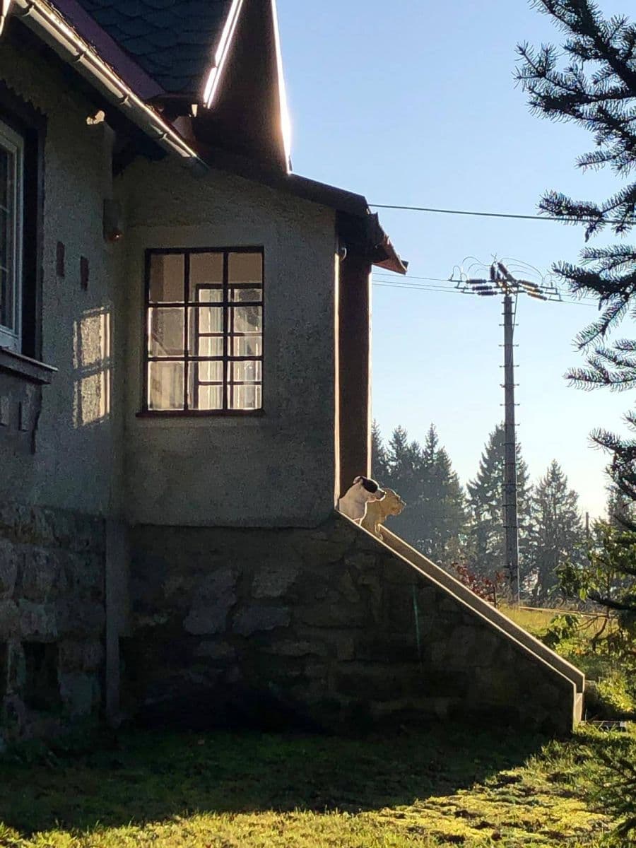 recreational property to rent, 0 m², Nová Ves nad Nisou, Liberecký Region recreational property to rent, 0 m², Nová Ves nad Nisou, Liberecký Region