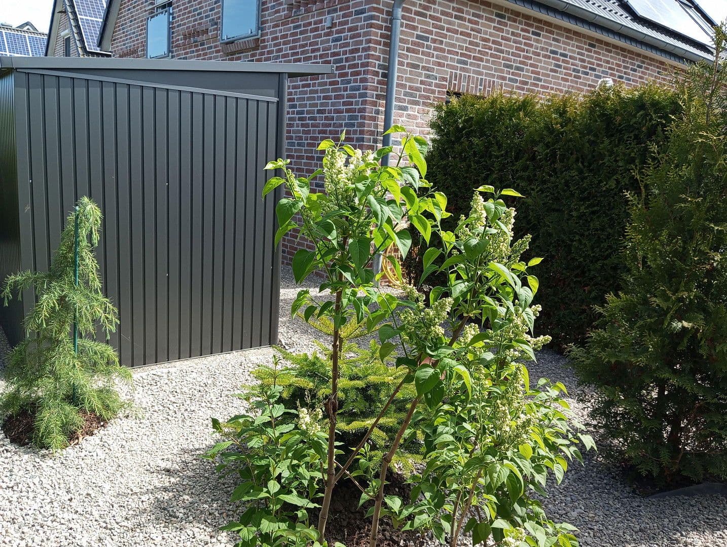 house for sale, 80 m², Fehmarn, Schleswig-Holstein house for sale, 80 m², Fehmarn, Schleswig-Holstein