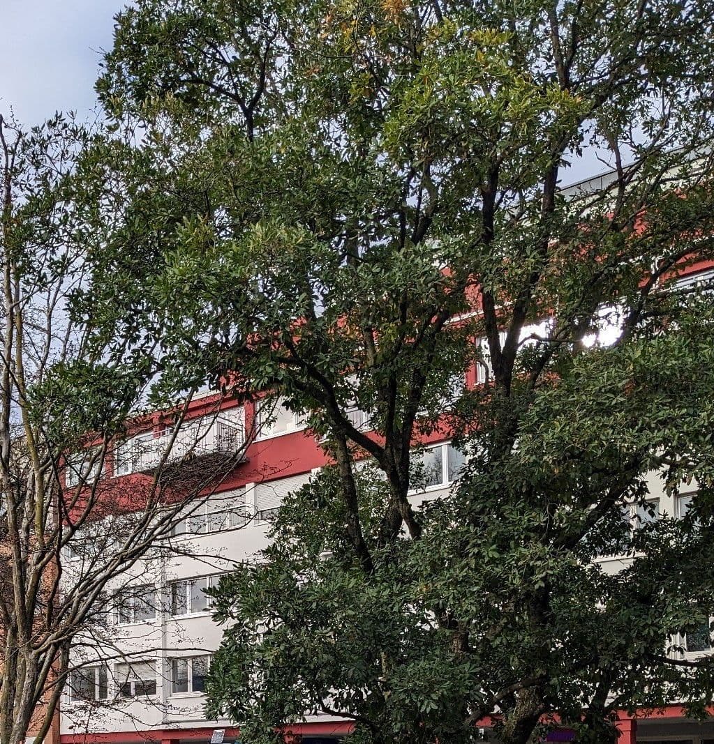 4 bedroom flat for sale, 99 m², Heidelberg, Baden-Württemberg 4 bedroom flat for sale, 99 m², Heidelberg, Baden-Württemberg