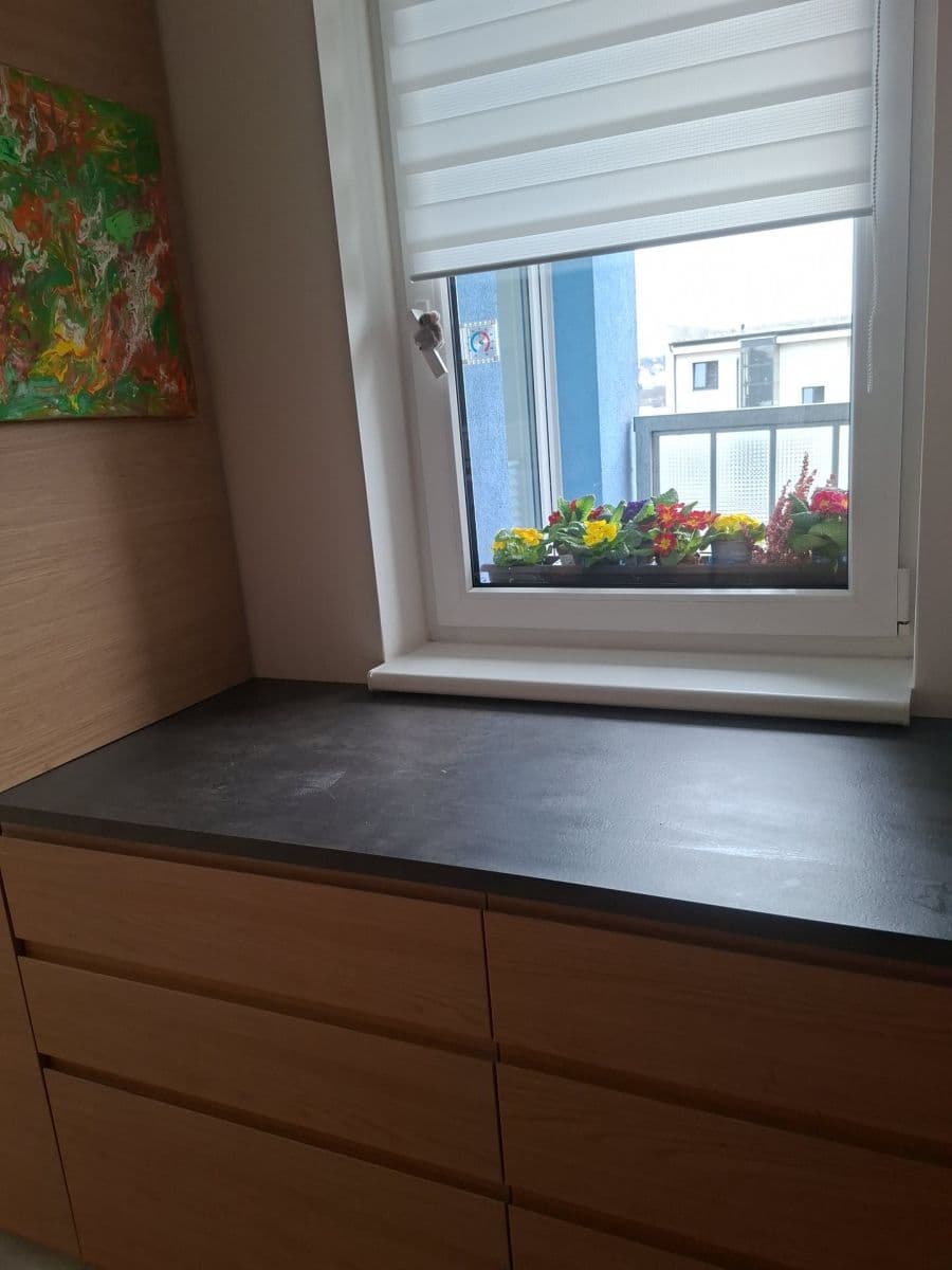 1 bedroom with open-plan kitchen flat for sale, 59 m², V Dolině, Prague, Prague 1 bedroom with open-plan kitchen flat for sale, 59 m², V Dolině, Prague, Prague