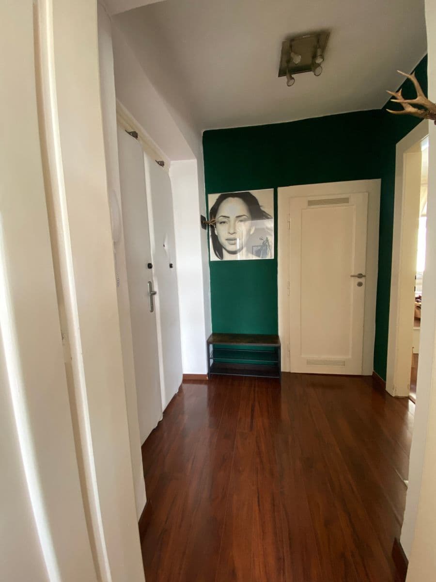 1 bedroom with open-plan kitchen flat to rent, 50 m², Na Výšinách, Prague, Prague 1 bedroom with open-plan kitchen flat to rent, 50 m², Na Výšinách, Prague, Prague