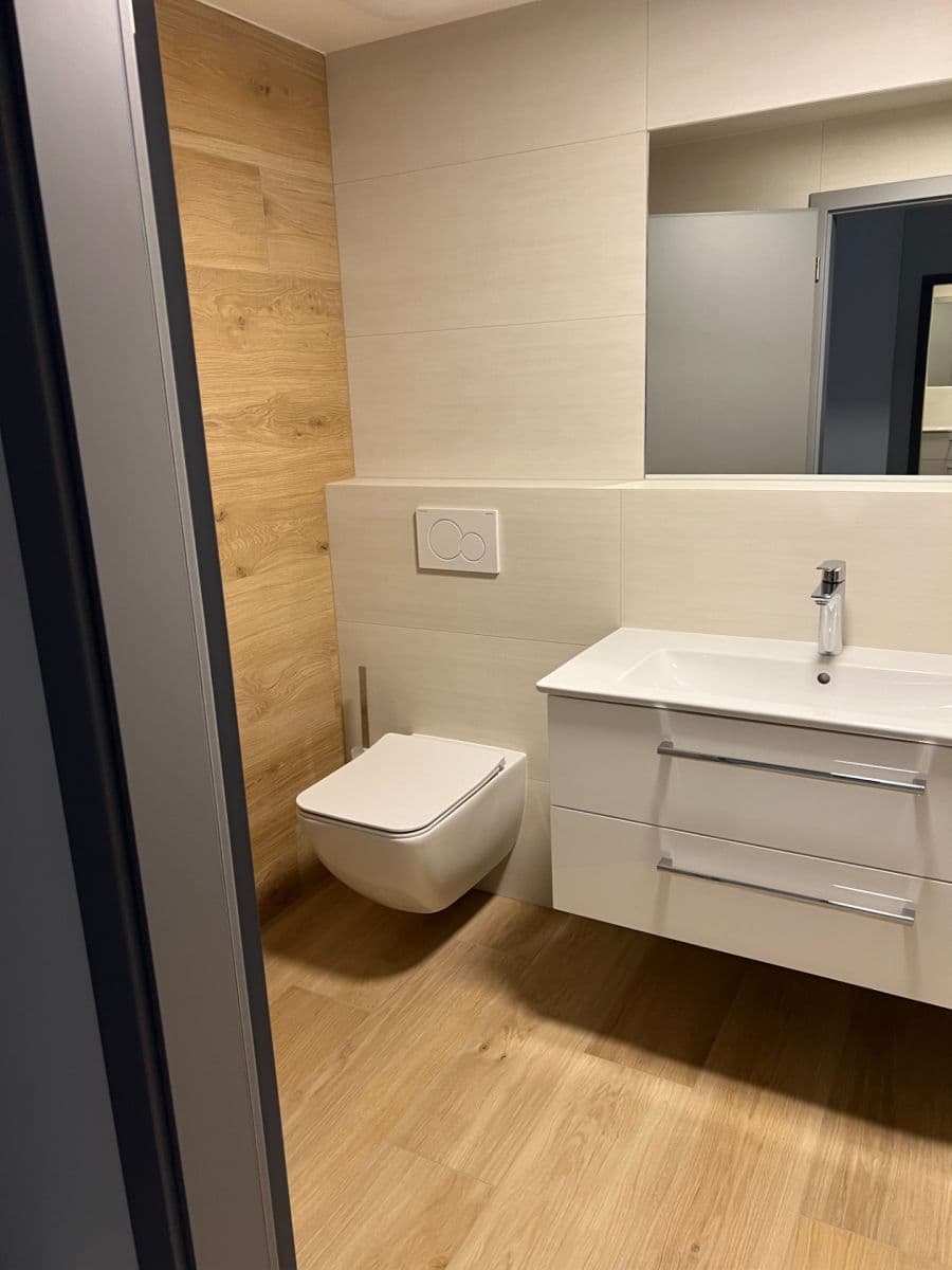 1 bedroom with open-plan kitchen flat to rent, 59 m², Obvodová, Prague, Prague 1 bedroom with open-plan kitchen flat to rent, 59 m², Obvodová, Prague, Prague