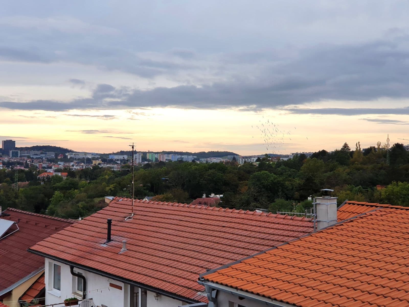 Studio flat to rent, 24 m², Kosatcová, Brno, Jihomoravský Region Studio flat to rent, 24 m², Kosatcová, Brno, Jihomoravský Region