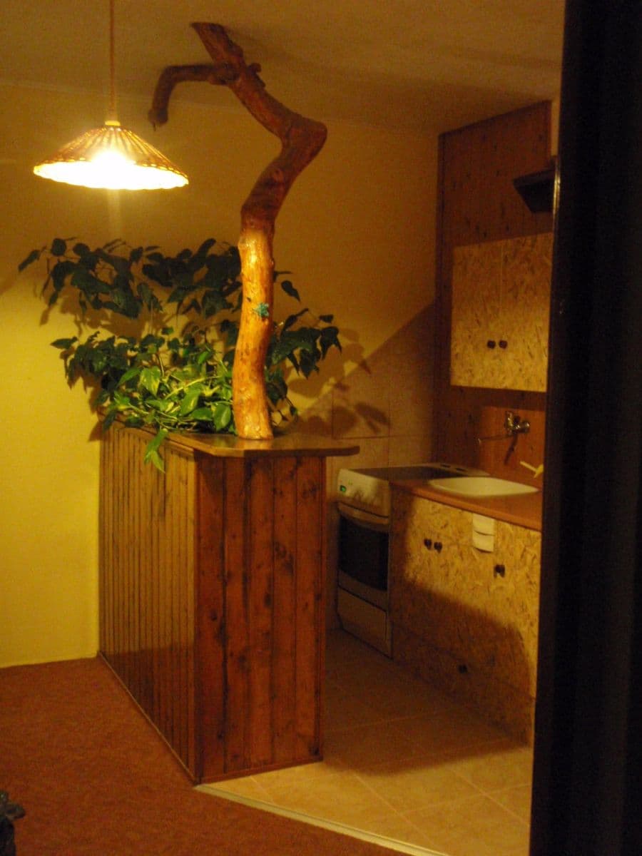 1 bedroom flat for sale, 32 m², Seifertova, Ústí nad Labem, Ústecký Region 1 bedroom flat for sale, 32 m², Seifertova, Ústí nad Labem, Ústecký Region