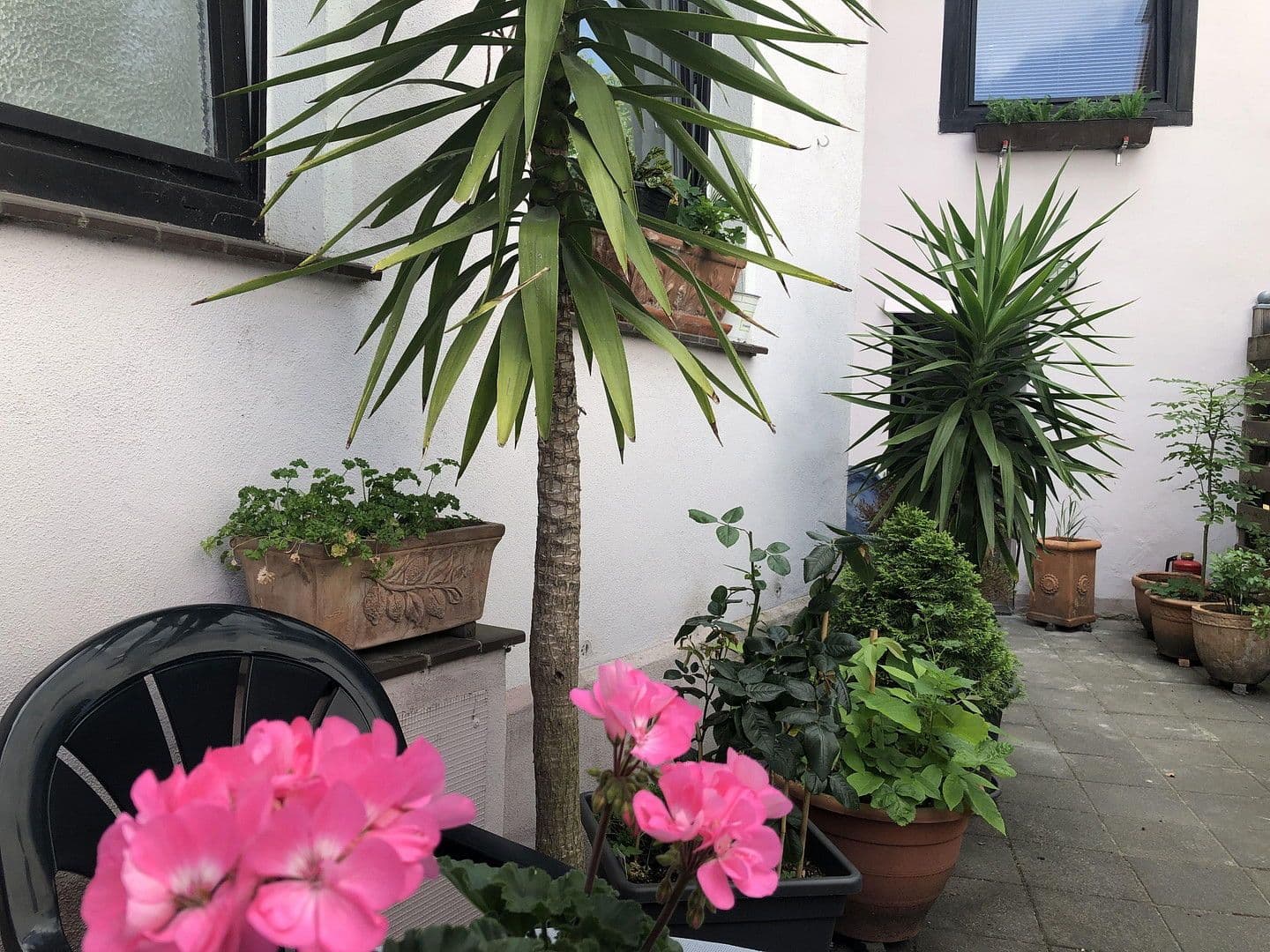 1 bedroom flat to rent, 25 m², Braunschweig, Lower Saxony 1 bedroom flat to rent, 25 m², Braunschweig, Lower Saxony